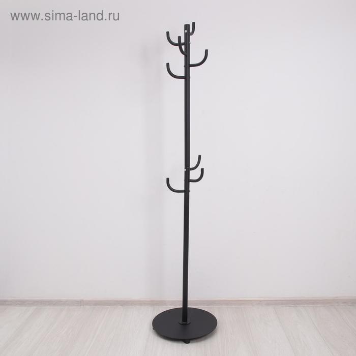 Вешалка напольная «Кактус», цвет чёрный
Вешалка напольная «Кактус», цвет чёрный