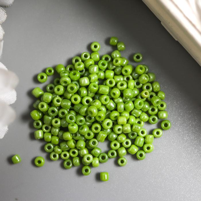 Бисер "Астра" 11/0, 20 гр (124 салат/непрозр.глянцевый)
Бисер "Астра" 11/0, 20 гр (124 салат/непрозр.глянцевый)