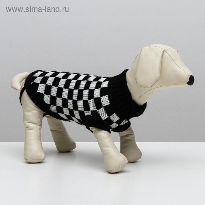 Свитер "Чёрно-белая клетка", 2XL (ДС 36 см, ОШ 26-34 см, ОГ 38 см), черно-белый