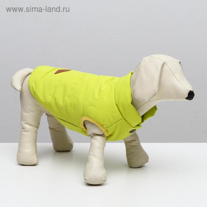 Куртка для собак, L (ДС 30 см, ОШ 29 см, ОГ 44 см), жёлтая
Куртка для собак, L (ДС 30 см, ОШ 29 см, ОГ 44 см), жёлтая