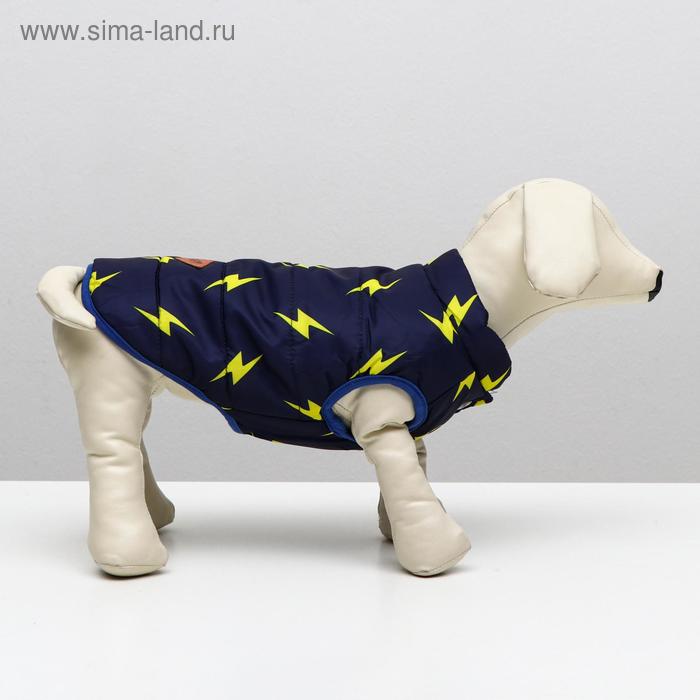 фото Куртка для собак "молния", s (дс 20 см, ош 23 см, ог 32 см), тёмно-синяя