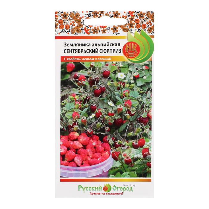 Семена Земляника альпийская "Сентябрьский сюрприз", 0,05 г
Семена Земляника альпийская "Сентябрьский сюрприз", 0,05 г