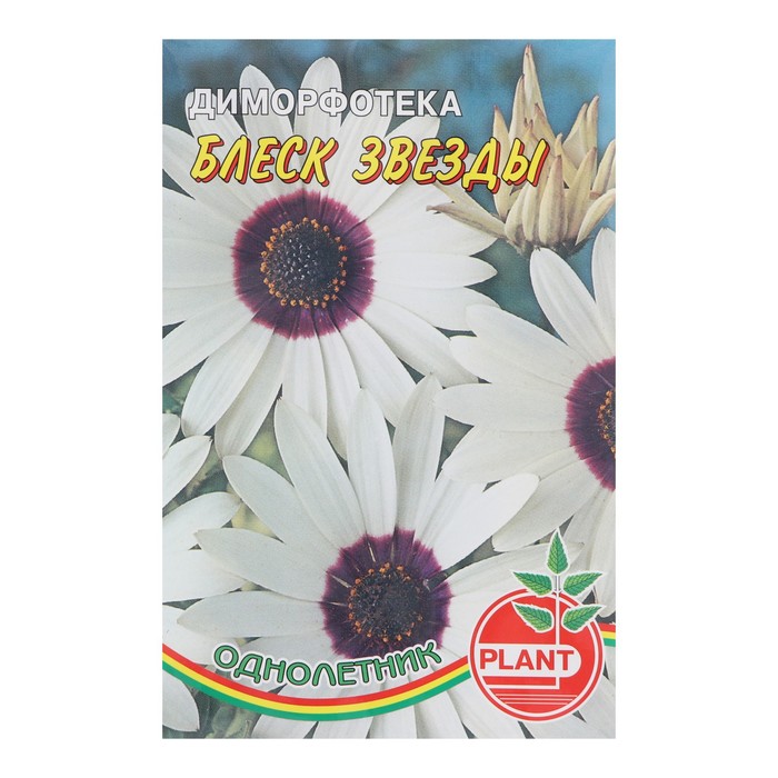 Семена цветов Диморфотека "Блеск звезды", 0,1 г
Семена цветов Диморфотека "Блеск звезды", 0,1 г