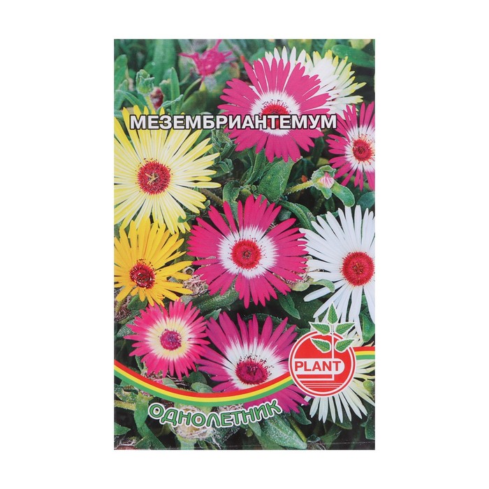 Семена цветов Мезембриантемум, 0,05 г
Семена цветов Мезембриантемум, 0,05 г