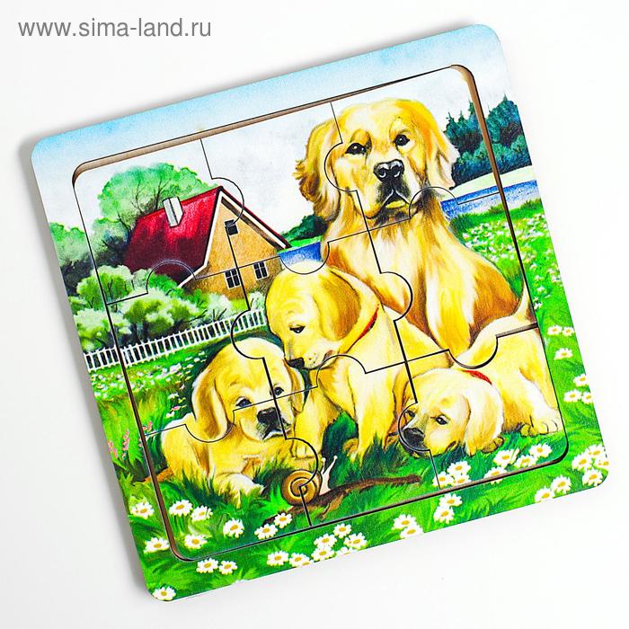 Пазл «Любопытные щенки»
Пазл «Любопытные щенки»