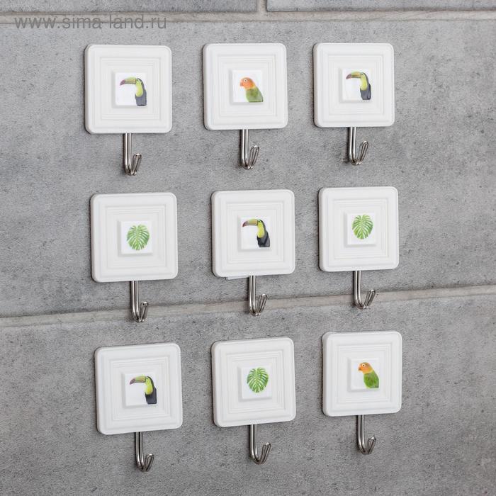 Набор крючков на липучке «Галерея», 9 шт, тропики
Набор крючков на липучке «Галерея», 9 шт, тропики