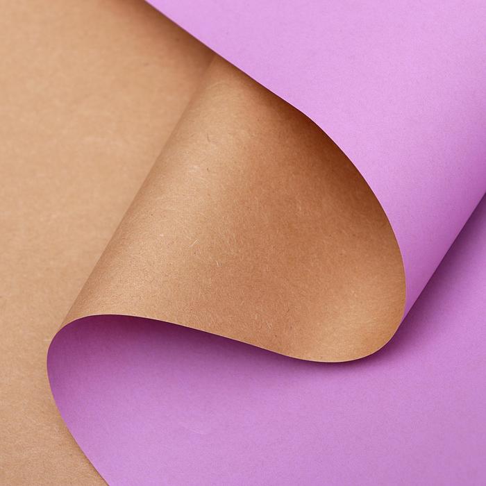 Бумага упаковочная "Крафт ламинированный", лиловый, 0,58 х 5 м
Бумага упаковочная "Крафт ламинированный", лиловый, 0,58 х 5 м