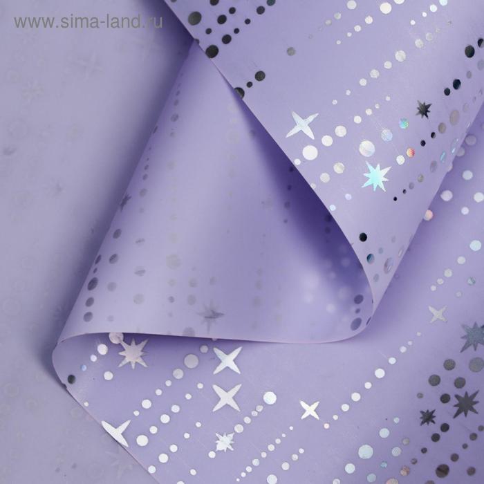 Пленка для цветов "Падающие звезды", 58 см х 5 м сиреневый
Пленка для цветов "Падающие звезды", 58 см х 5 м сиреневый