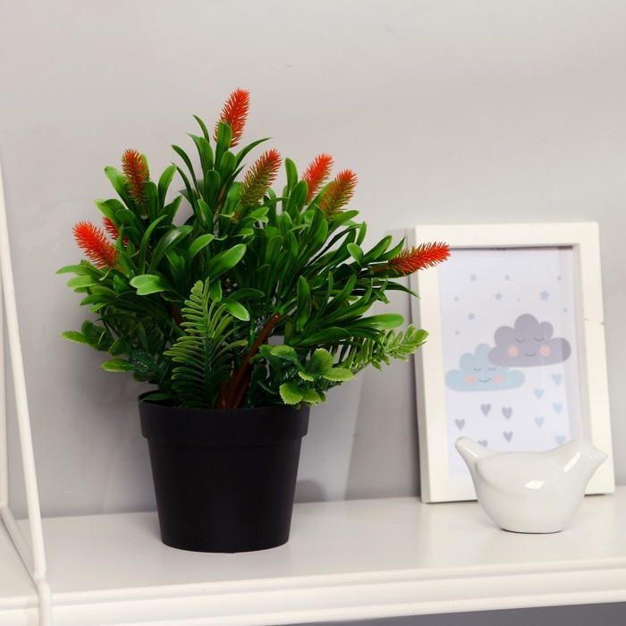 Бонсай в горшке "Станлея" 9х23 см, микс
Бонсай в горшке "Станлея" 9х23 см, микс