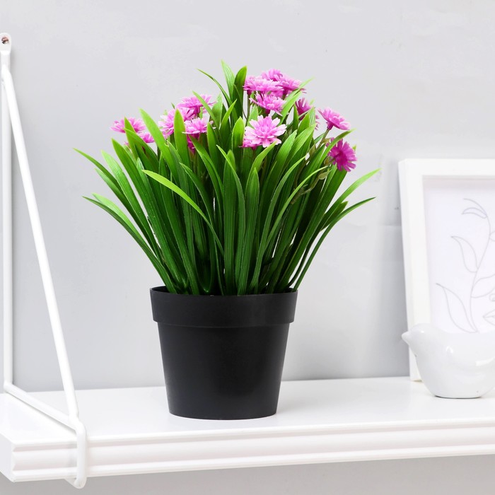 Бонсай в горшке "Гилоцереус" 9х20 см, микс
Бонсай в горшке "Гилоцереус" 9х20 см, микс