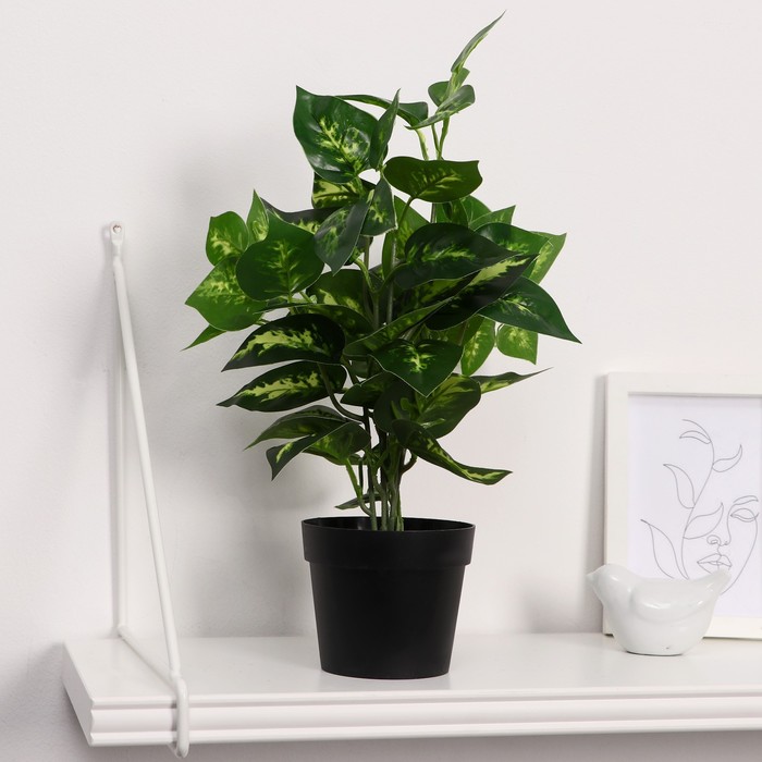 Бонсай в горшке "Эпипремнум" 9х26 см
Бонсай в горшке "Эпипремнум" 9х26 см