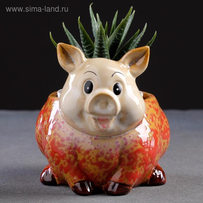 Горшок "Поросенок"
Горшок "Поросенок"