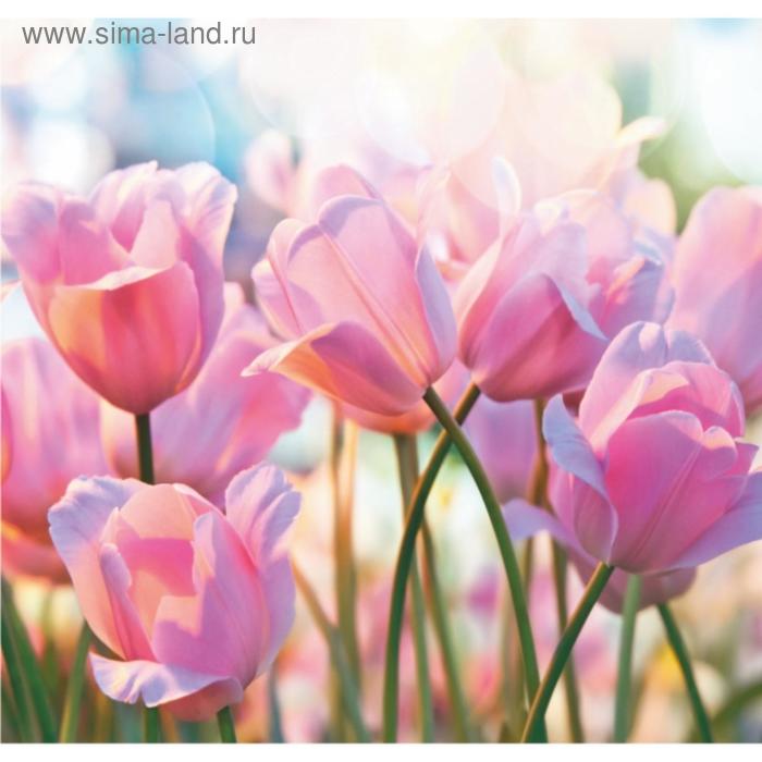 Фотообои В-019 Bellissimo "Весенние тюльпаны" 210*200 см
Фотообои В-019 Bellissimo "Весенние тюльпаны" 210*200 см