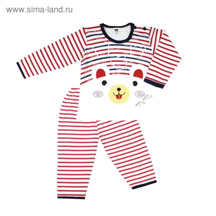 Комплект, рост 62, 68 см, цвет синий, красный, 12 шт в уп.
Комплект, рост 62, 68 см, цвет синий, красный, 12 шт в уп.