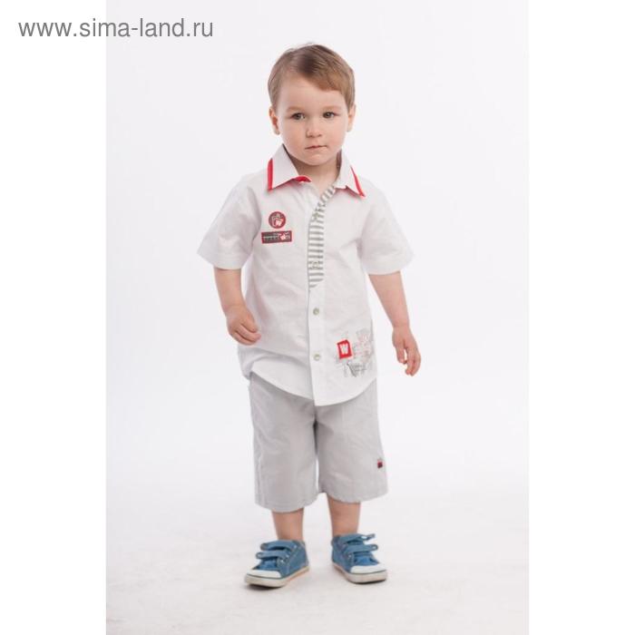 Комплект, рост 80, 86, 92 см, цвет белый, серый, 6 шт в уп.
Комплект, рост 80, 86, 92 см, цвет белый, серый, 6 шт в уп.