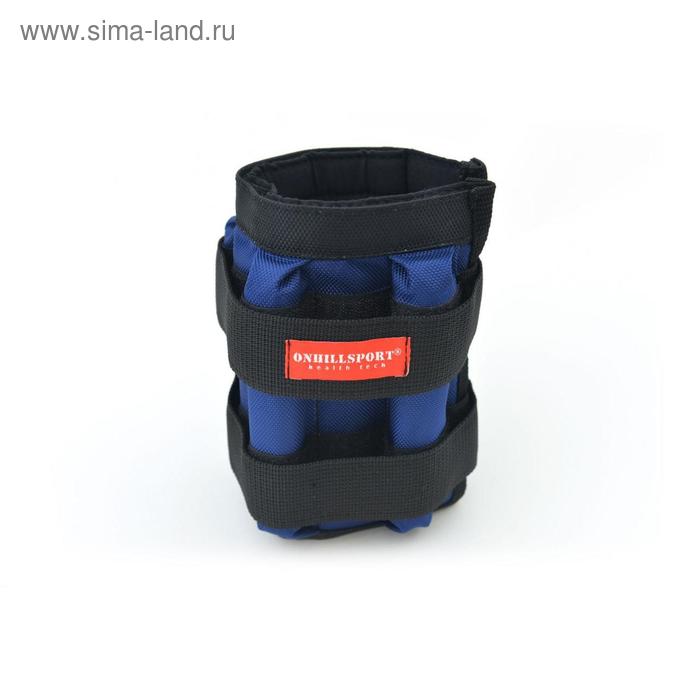 фото Утяжелители 2 × 6 кг (грузы съёмные 500 г, 24 шт.), цвет синий onhillsport
