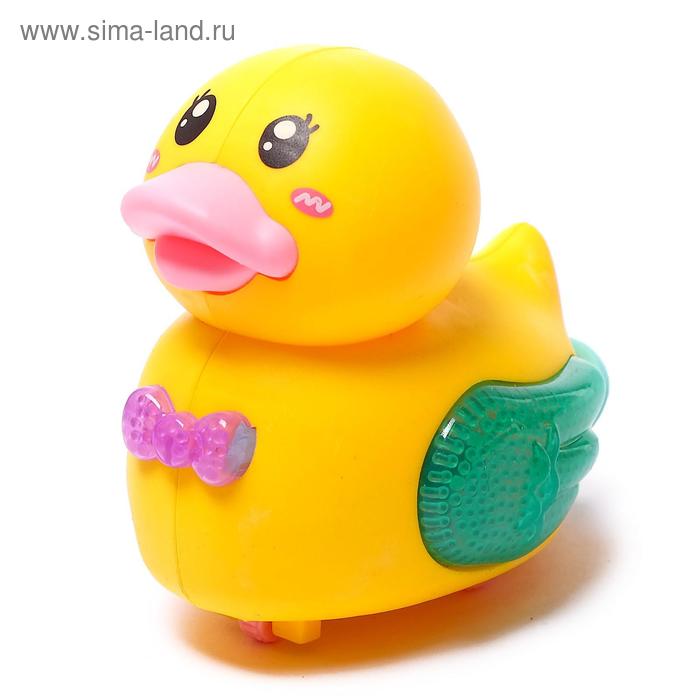 Игрушка заводная «Уточка», световые эффекты, цвета МИКС
Игрушка заводная «Уточка», световые эффекты, цвета МИКС