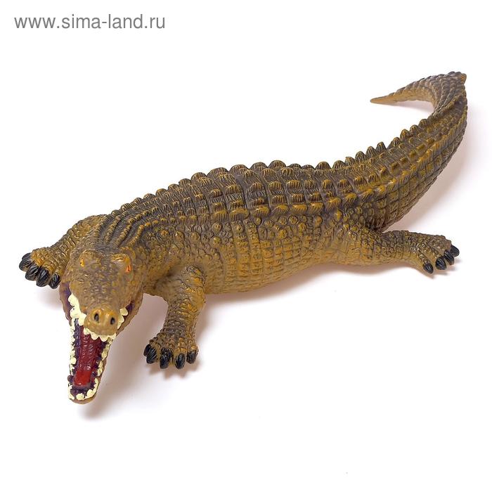 Фигурка животного «Нильский крокодил», длина 48 см
Фигурка животного «Нильский крокодил», длина 48 см