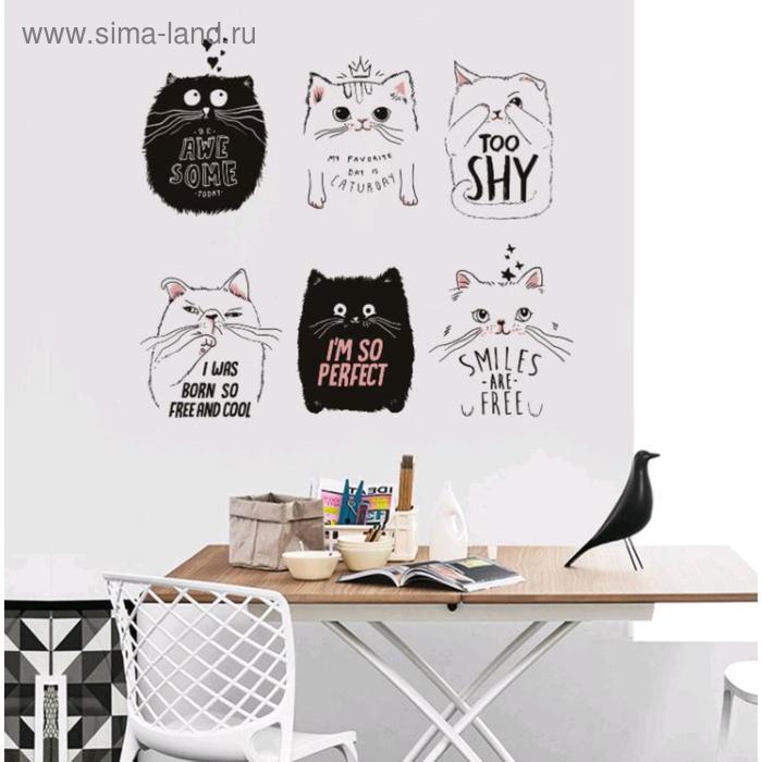 Наклейка пластик интерьерная "Белые и чёрные котятки" 60х90 см
Наклейка пластик интерьерная "Белые и чёрные котятки" 60х90 см