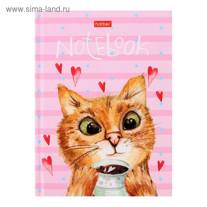 Бизнес-блокнот А6, 64 листа "Время котиков", твёрдая обложка
Бизнес-блокнот А6, 64 листа "Время котиков", твёрдая обложка