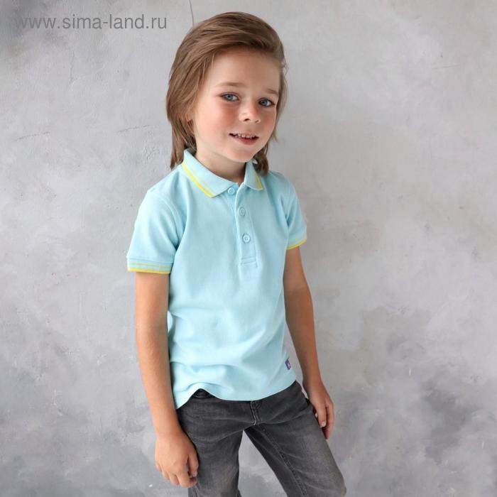 Джемпер-поло для мальчика, рост 110 см, цвет голубой
Джемпер-поло для мальчика, рост 110 см, цвет голубой