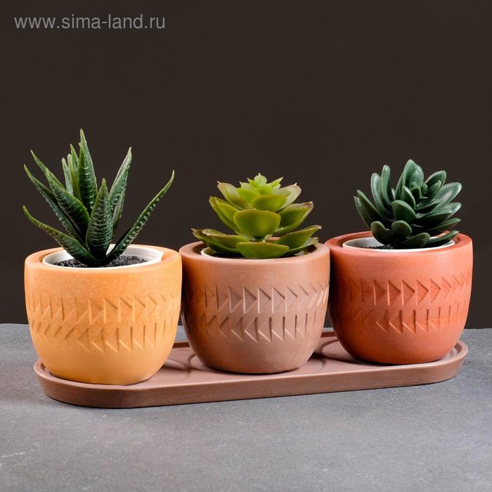 Набор горшков с поддоном Этно 0,18л VipSet (терракот, красный, пудра)
Набор горшков с поддоном Этно 0,18л VipSet (терракот, красный, пудра)