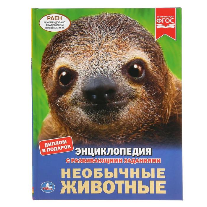 Энциклопедия «Необычные животные с развивающими заданиями»
Энциклопедия «Необычные животные с развивающими заданиями»