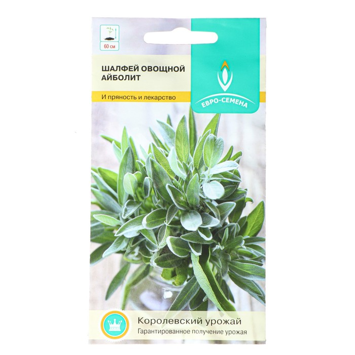 Семена Шалфей "Айболит", овощной, цв/п, 0,3 г
Семена Шалфей "Айболит", овощной, цв/п, 0,3 г