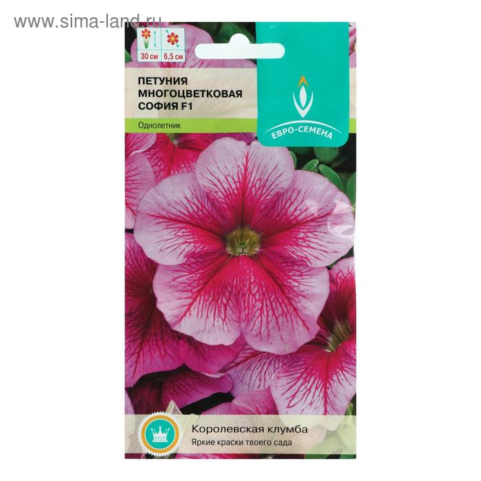 Семена цветов Петуния "София", F1, многоцветковая, однолетник, цв/п, 10 шт
Семена цветов Петуния "София", F1, многоцветковая, однолетник, цв/п, 10 шт