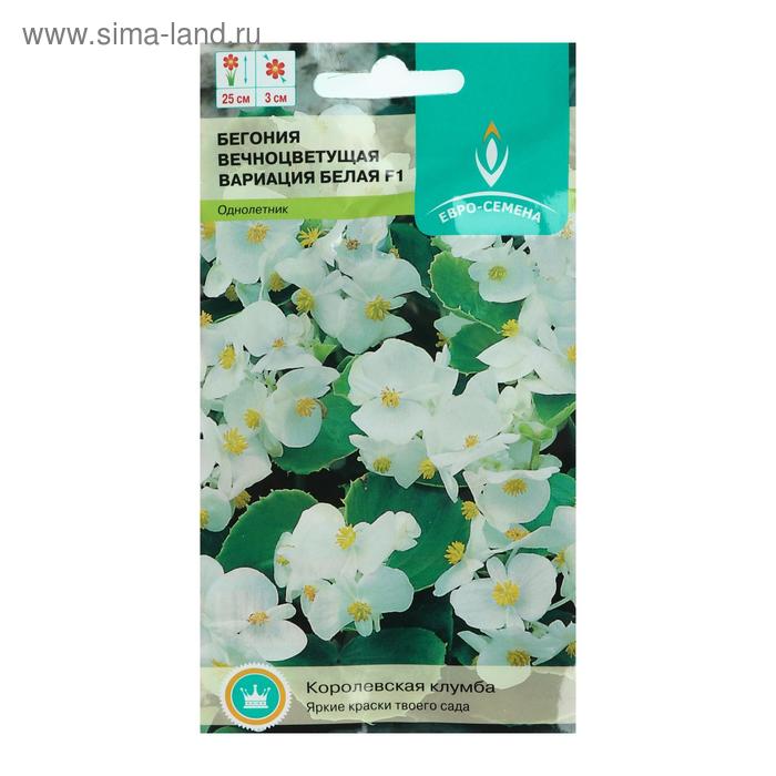 Семена цветов Бегония "Вариация белая", F1, вечноцветущая, однолетник, цв/п, 10 шт 
Семена цветов Бегония "Вариация белая", F1, вечноцветущая, однолетник, цв/п, 10 шт