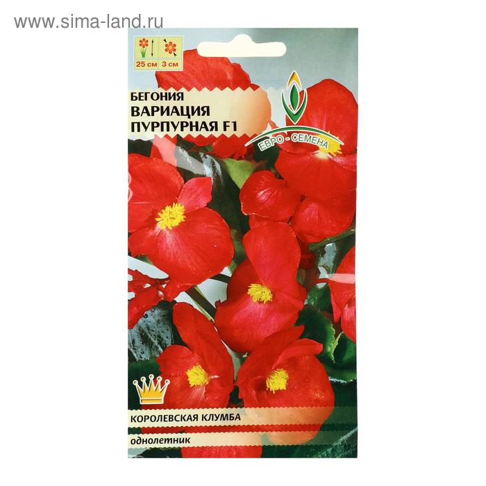 Семена цветов Бегония "Вариация пурпурная", F1, вечноцветущая, однолетник, цв/п, 10 шт
Семена цветов Бегония "Вариация пурпурная", F1, вечноцветущая, однолетник, цв/п, 10 шт
