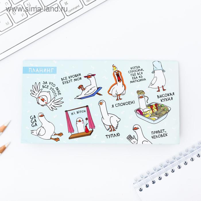 Планер мини с отрывными листами GUSSI
Планер мини с отрывными листами GUSSI