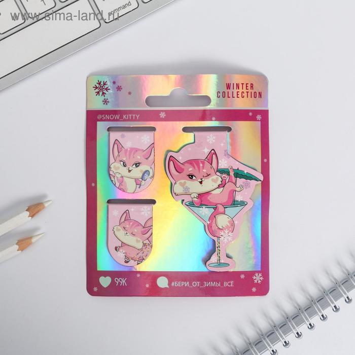 Магнитная закладка на подложке "Бери от зимы все", 3 шт
Магнитная закладка на подложке "Бери от зимы все", 3 шт