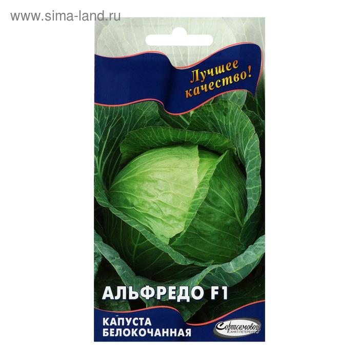 Семена Капуста б/к "Альфредо" F1, 12 шт 
Семена Капуста б/к "Альфредо" F1, 12 шт