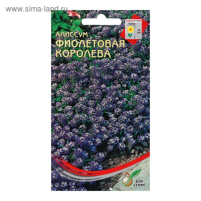 Семена цветов Алиссум "Фиолетовая королева", 210 шт
Семена цветов Алиссум "Фиолетовая королева", 210 шт