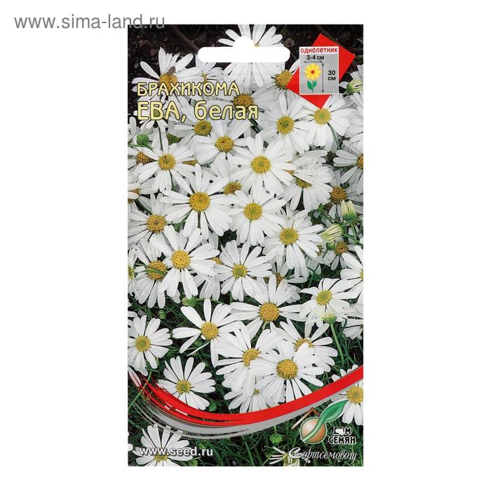 Семена цветов Брахикома "Ева" белая, 180 шт
Семена цветов Брахикома "Ева" белая, 180 шт