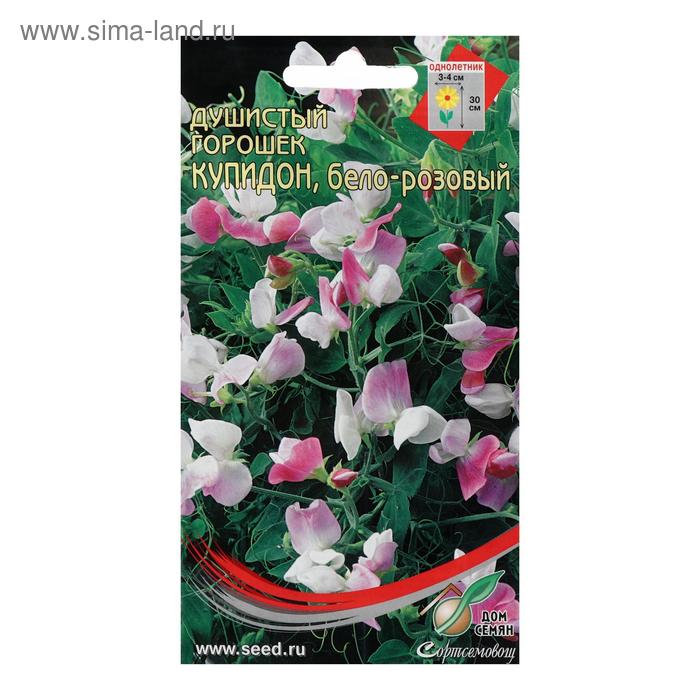 Семена цветов Горошек "Дом семян", душистый "Купидон", бело-розовый, 6 шт.
Семена цветов Горошек "Дом семян", душистый "Купидон", бело-розовый, 6 шт.