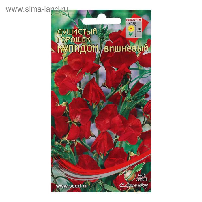 Семена цветов Горошек душистый "Купидон", вишневый 6 шт
Семена цветов Горошек душистый "Купидон", вишневый 6 шт