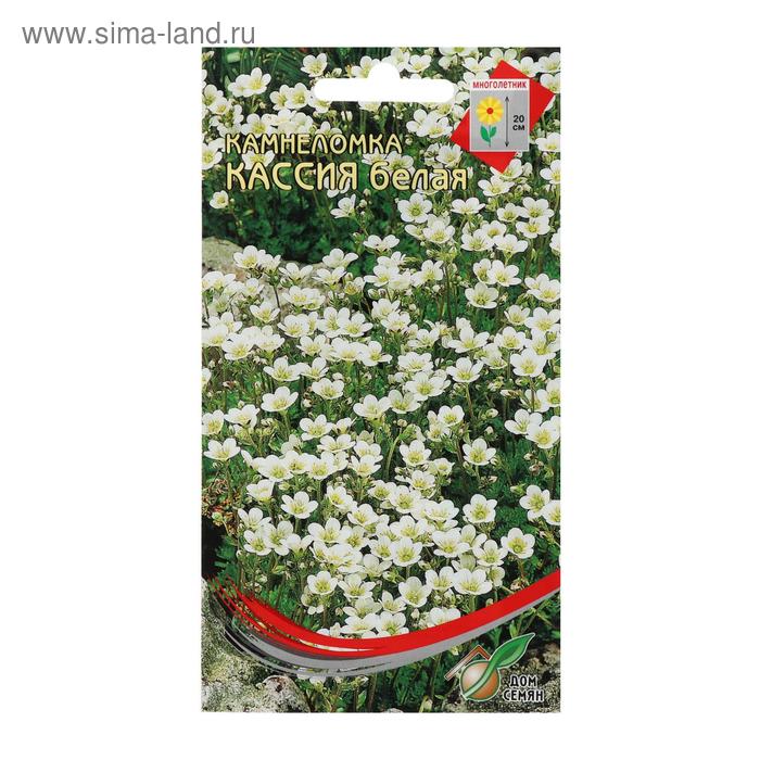 Семена цветов Камнеломка мног. "Кассия", белая 250 шт
Семена цветов Камнеломка мног. "Кассия", белая 250 шт