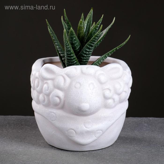 Горшок "Овечка" 8*8см
Горшок "Овечка" 8*8см