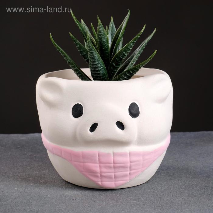 Горшок "Поросенок" 8*10см микс
Горшок "Поросенок" 8*10см микс