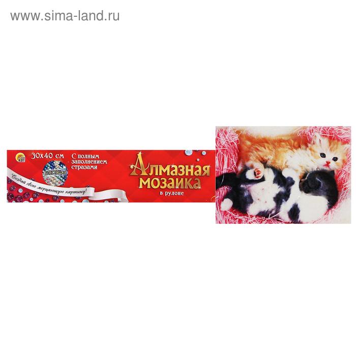 Алмазная мозаика блестящая 30х40 см, без подрамника, с полным заполнением «Два маленьких котёнка»
Алмазная мозаика блестящая 30х40 см, без подрамника, с полным заполнением «Два маленьких котёнка»