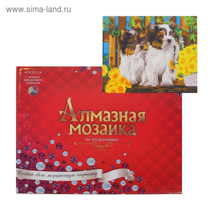 Алмазная мозаика классическая 40х50 см, с подрамником, с полным заполнением «Маленькие йоркширские терьеры»
Алмазная мозаика классическая 40х50 см, с подрамником, с полным заполнением «Маленькие йоркширские терьеры»