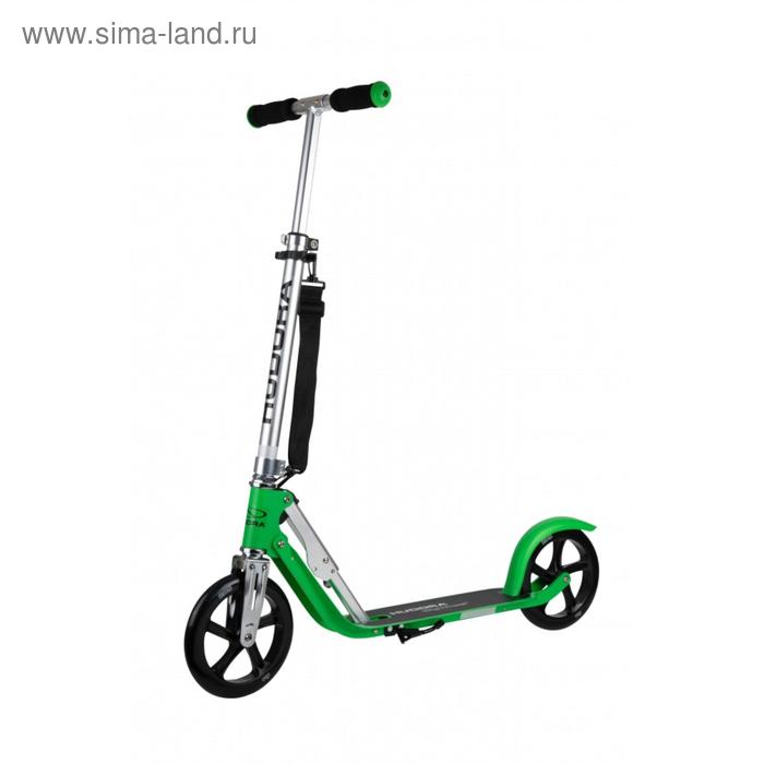 Самокат BigWheel 2020, цвет зелёный
Самокат BigWheel 2020, цвет зелёный