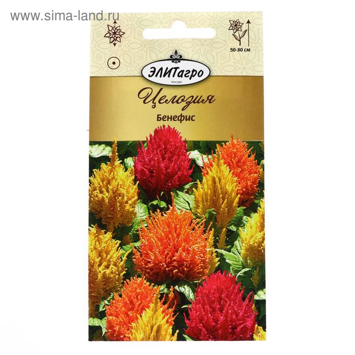 Семена цветов Целозия перистая "Бенефис", 0,3 г
Семена цветов Целозия перистая "Бенефис", 0,3 г