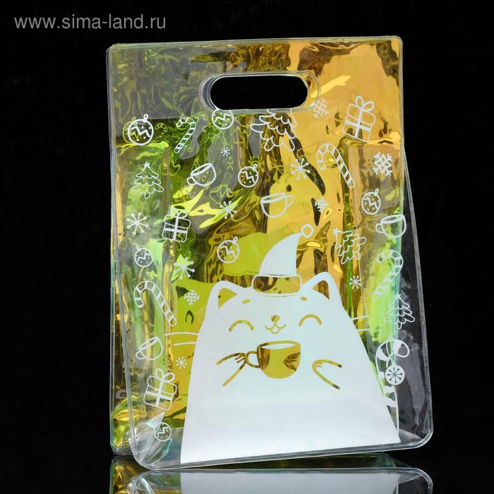 Пакет из голографического пластика «Для тебя», 18 х 24 х 6,5 см 
Пакет из голографического пластика «Для тебя», 18 х 24 х 6,5 см