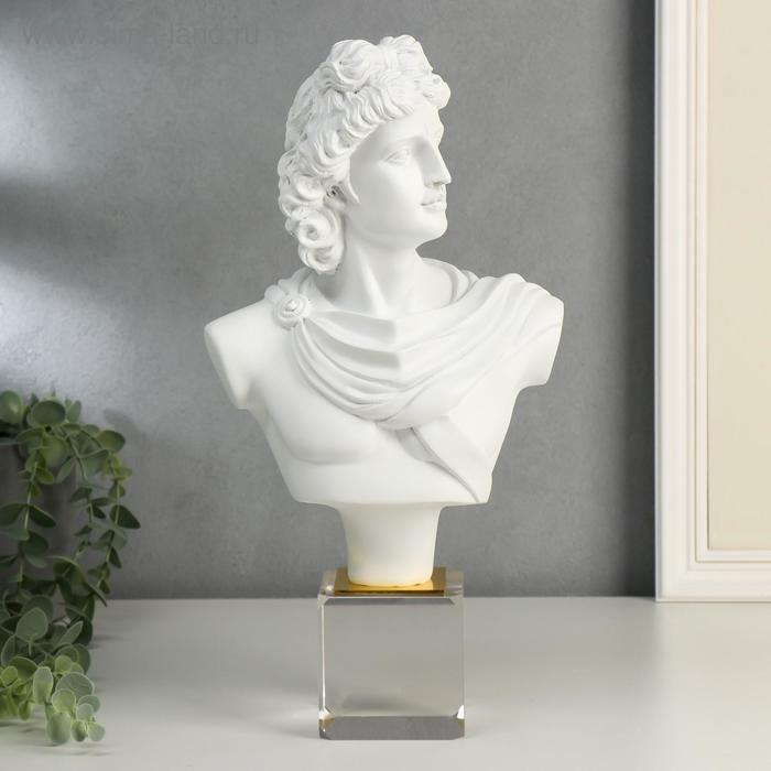 Сувенир полистоун "Нарцисс" белый 37,5х19х11,5 см
Сувенир полистоун "Нарцисс" белый 37,5х19х11,5 см