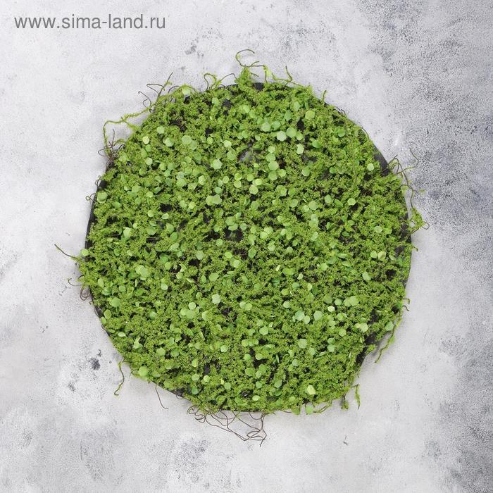 Декоративная панель, d = 35 см, «Мох с ряской» 
Декоративная панель, d = 35 см, «Мох с ряской»