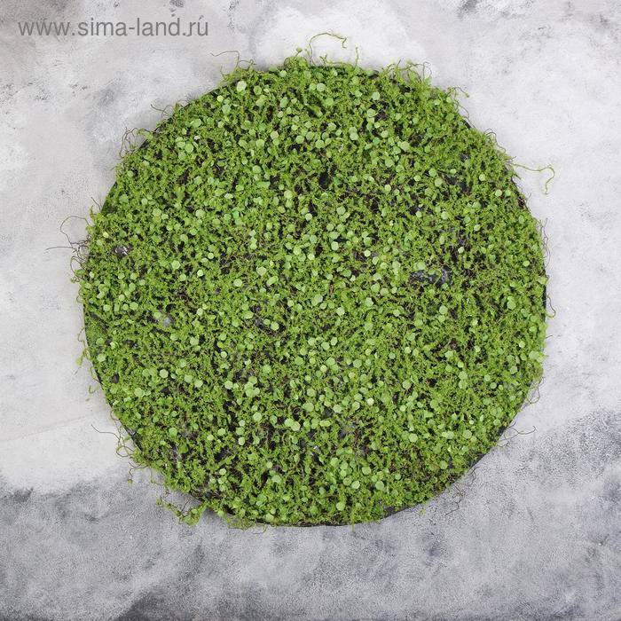 Декоративная панель, d = 50 см, «Мох с ряской»
Декоративная панель, d = 50 см, «Мох с ряской»
