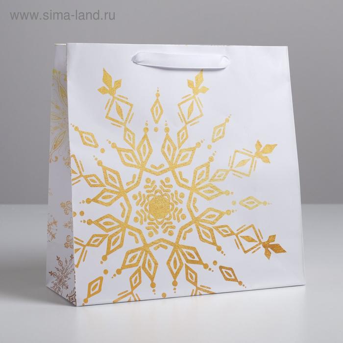 Пакет ламинированный квадратный «Снежинка», 30 × 30 × 12 см
Пакет ламинированный квадратный «Снежинка», 30 × 30 × 12 см